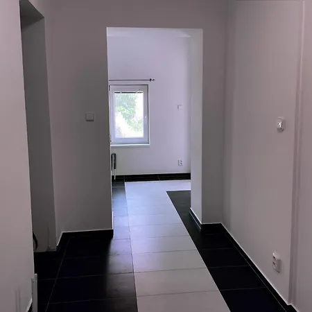 Apartman Nejdek *